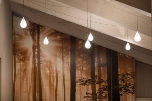 11393093_10153992582063989_1000602834768013326_n